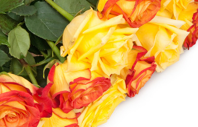 Similar image 1765067