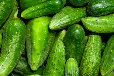 Similar image 1765068