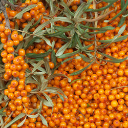 Similar image 1765069