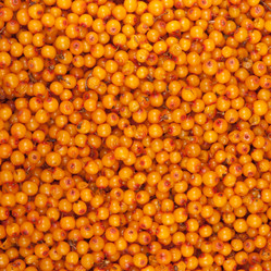 Similar image 1765071