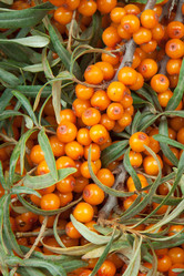 Similar image 1765074