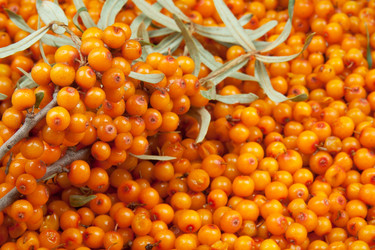 Similar image 1765075