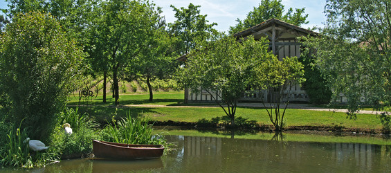 Similar image 1765081