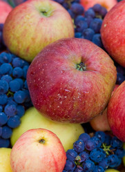 Similar image 1765110