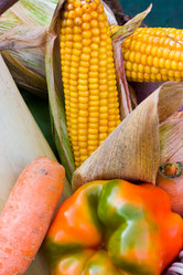 Similar image 1765116