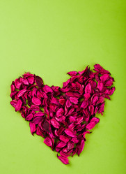 Similar image 1765205