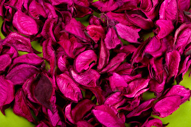 Similar image 1765206