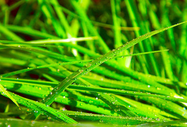 Similar image 1765259