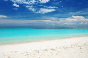 Similar image 1765403