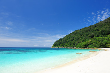 Similar image 1765417