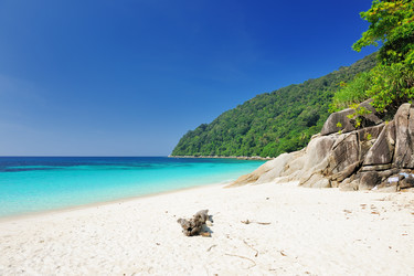 Similar image 1765453