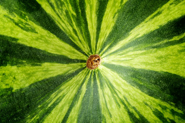 Similar image 1765488