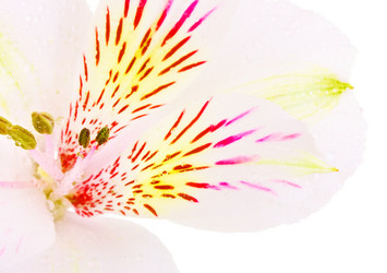 Similar image 1765491