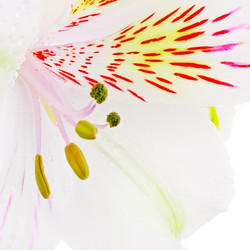 Similar image 1765524