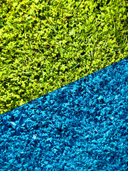 Similar image 1765557