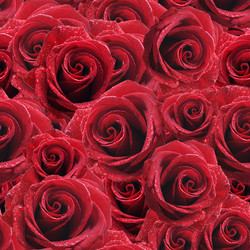 Similar image 1765565