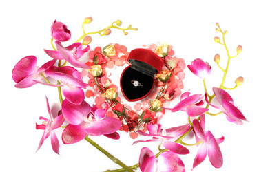 Similar image 1765719