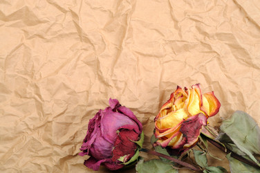 Similar image 1765747