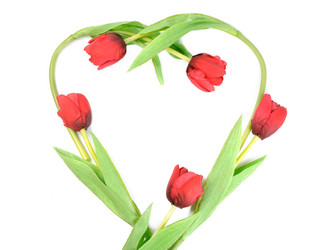 Similar image 1765750