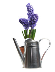 Similar image 1765908