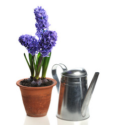 Similar image 1765909