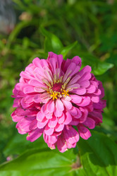 Similar image 1765924