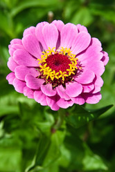 Similar image 1765925