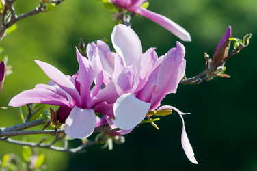 Similar image 1765964