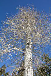 Similar image 1765973