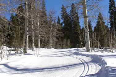 Similar image 1765974