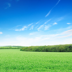 Similar image 1765994