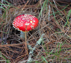 Similar image 1766001