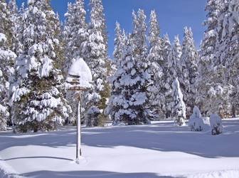 Similar image 1766004