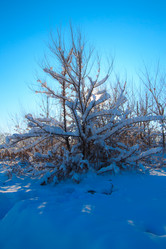 Similar image 1766008