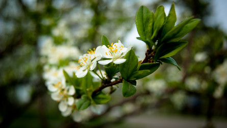 Similar image 1766009