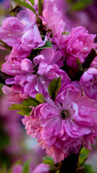 Similar image 1766011