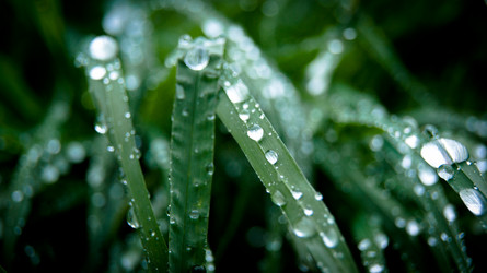 Similar image 1766014