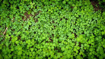 Similar image 1766015