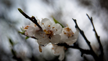 Similar image 1766016