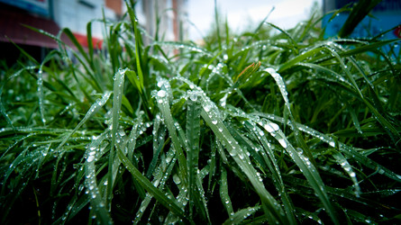 Similar image 1766017