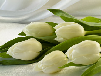 Similar image 1766183