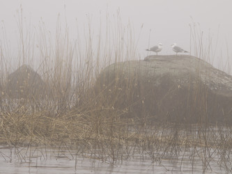 Similar image 1766205