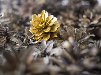 Similar image 1766207