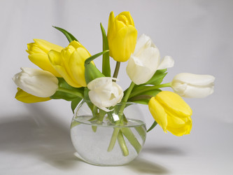 Similar image 1766213