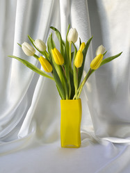 Similar image 1766216