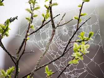 Similar image 1766217