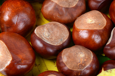 Similar image 1766604