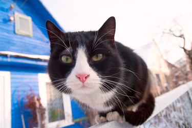 Similar image 1766723