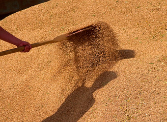 Similar image 1766724