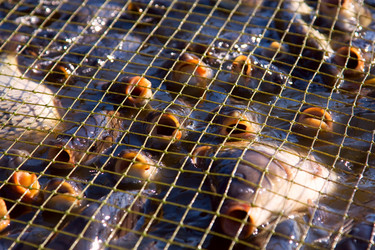 Similar image 1766728